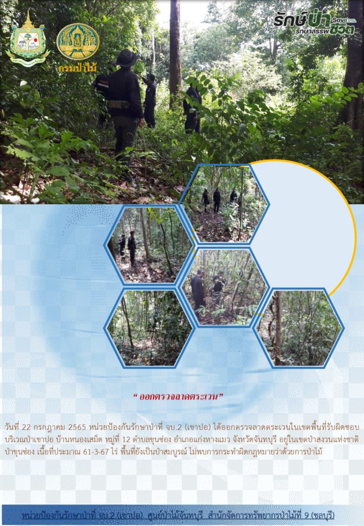 วันที่ 22 กรกฎาคม 2565 หน่วยป้องกันรักษาป่าที่ จบ.2 (เขาปอ) ได้ออกตรวจลาดตระเวนในเขตพื้นที่รับผิดชอบ บริเวณป่าเขาปอ บ้านหนองเสม็ด หมู่ที่ 12 ตำบลขุนซ่อง อำเภอแก่งหางแมว จังหวัดจันทบุรี อยู่ในนเขตป่าสงวนแห่งชาติป่าขุนซ่อง เนื้อที่ประมาณ 61-3-67 ไร่ พื้นที่ยังเป็นป่าสมบูรณ์ ไม่พบการกระทำผิดตามกฎหมายว่าด้วยการป่าไม้