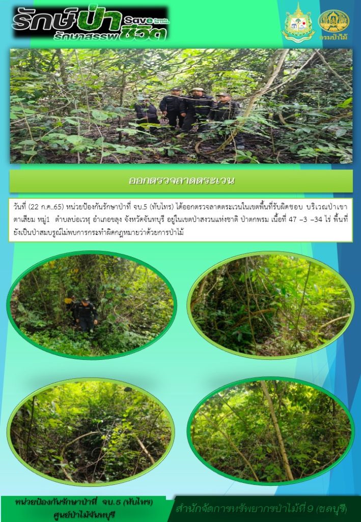 วันที่ 22 กรกฎาคม 2565 หน่วยป้องกันรักษาป่าที่ จบ.5 (ทับไทร) ได้ออกตรวจลาดตระเวนในเขตพื้นที่รับผิดชอบ บริเวณป่าเขาตาเสียม หมู่ที่ 1 ตำบลบ่อเวฬุ อำเภอขลุง จังหวัดจันทบุรี อยู่ในเขตป่าสงวนแห่งชาติป่าตกพรม เนื้อที่ 47-3-34 ไร่ พื้นที่ยังเป็นป่าสมบูรณ์ ไม่พบการกระทำผิดตามกฎหมายว่าด้วยการป่าไม้