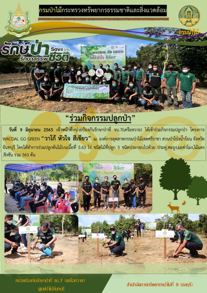 วันที่ 9 มิถุนายน 2565 เจ้าหน้าที่หน่วยป้องกันรักษาป่าที่ จบ.7 (เครือหวาย) ได้เข้าร่วมกิจกรรมปลูกป่า โครงการ WACOAL GO FREEN "วาโก้ หัวใจ สีเขียว" ณ องค์การอุตสาหกรรมป่าไม้เขตศรีราชา สวนป่าโป่งน้ำร้อน จังหวัดจันทบุรี โดยได้ทำการร่วมปลูกต้นไม้บนเนื้อที่ 5.63 ไร่ ชนิดไม้ที่ปลูก 5 ชนิดประกอบไปด้วย ประดู่ พะยูง มะค่าโมง ไม้แดง ชิงชัน รวม 563 ต้น