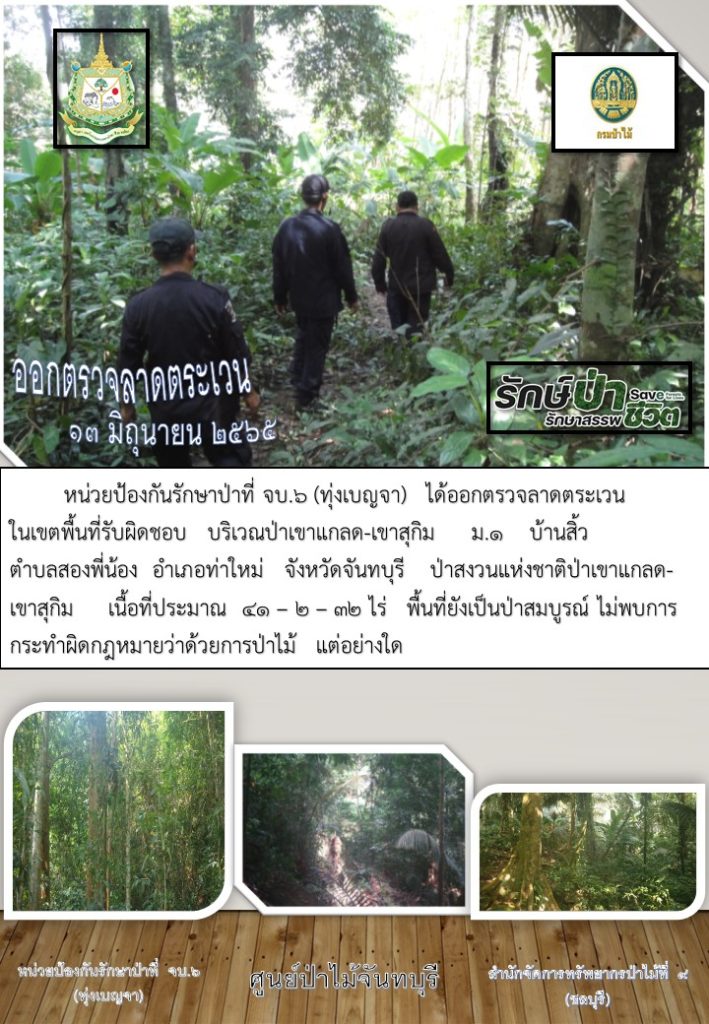 วันที่ 13 มิถุนายน 2565 หน่วยป้องกันรักษาป่าที่ จบ.6 (ทุ่งเบญจา) ได้ออกตรวจลาดตระเวนในเขตพื้นที่รับผิดชอบ บริเวณป่าเขาแกลด-เขาสุกิม หมู่ที่ 1 บ้านสิ้ว ตำบลสองพี่น้อง อำเภอท่าใหม่ จังหวัดจันทบุรี อยู่ในเขตป่าสงวนแห่งชาติป่าเขาแกลด-เขาสุกิม เนื้อที่ประมาณ 41-2-32 ไร่ พื้นที่ยังเป็นป่าสมบูรณ์ ไม่พบการกระทำผิดกฎหมายว่าด้วยการป่าไม้แต่อย่างใด