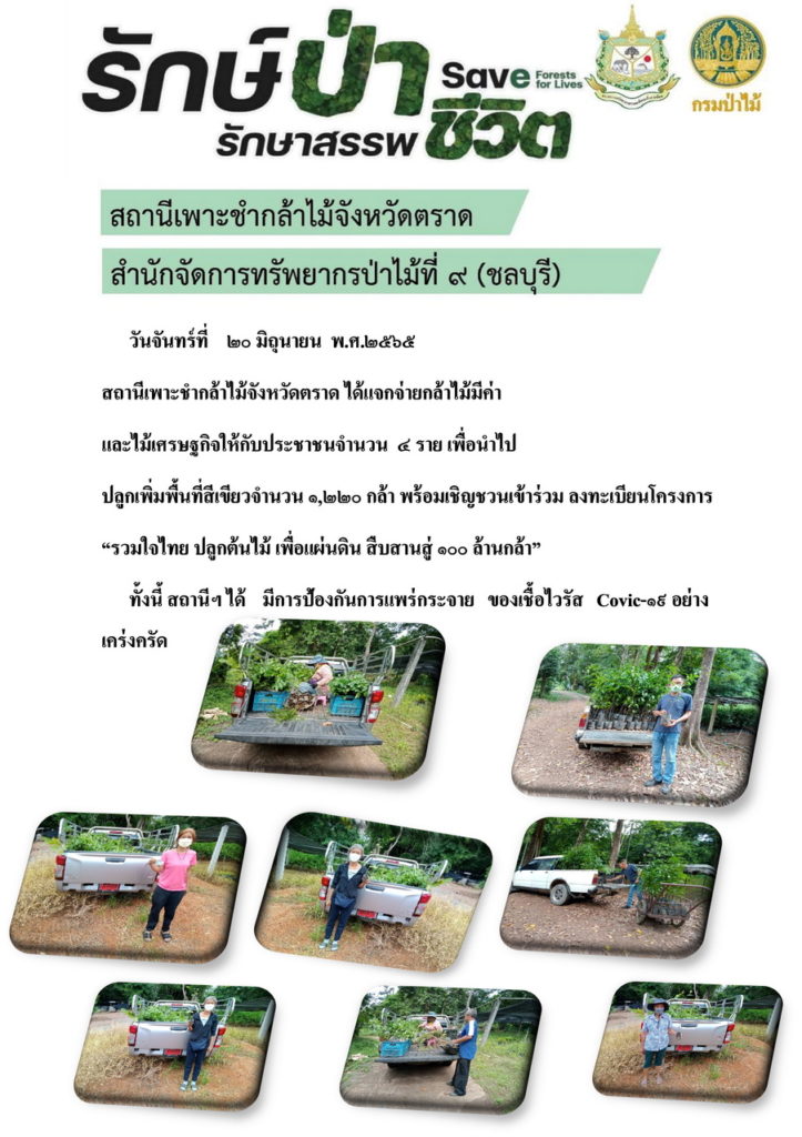 วันที่ 20 มิถุนาน 2565 สถานีเพาะชำกล้าไม้จังหวัดตราด ได้แจกจ่ายกล้าไม้มีค่าและไม่เศษรษฐกิจให้กับประชาชน 4 ราย เพื่อนำไปปลูกเพิ่มพื้นที่สีเขียว จำนวน 1,220 กล้า พร้อมเชิญชวนเข้าร่วมลงทะเบียนโครงการ "รวมใจไทย ปลูกต้นไม้ เพื่อแผ่นดิน สืบสานสู่ 100 ล้านต้น"
