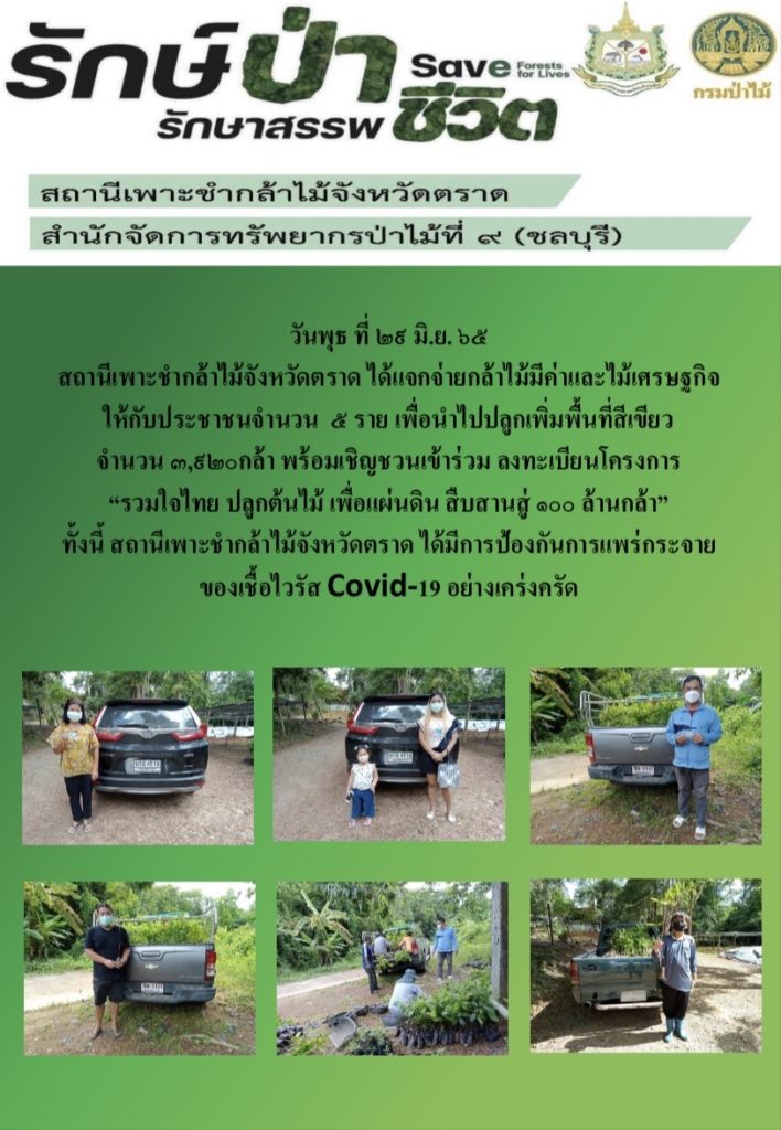 วันที่ 29 มิถุนายน 2565 สถานีเพาะชำกล้าไม้จังหวัดตราด ได้แจกจ่ายกล้าไม้มีค่าและไม้เศรษฐกิจให้กับประชาชน 5 ราย เพื่อนำไปปลูกเพ่ิมพื้นที่สีเขียว จำนวน 3,920 กล้า พร้อมเชิญชวนเข้าร่วมลงทะเบียนโครงการ "รวมใจไทย ปลูกต้นไม้ เพื่อแผ่นดิน สืบสานสู่ 100 ล้านต้น"