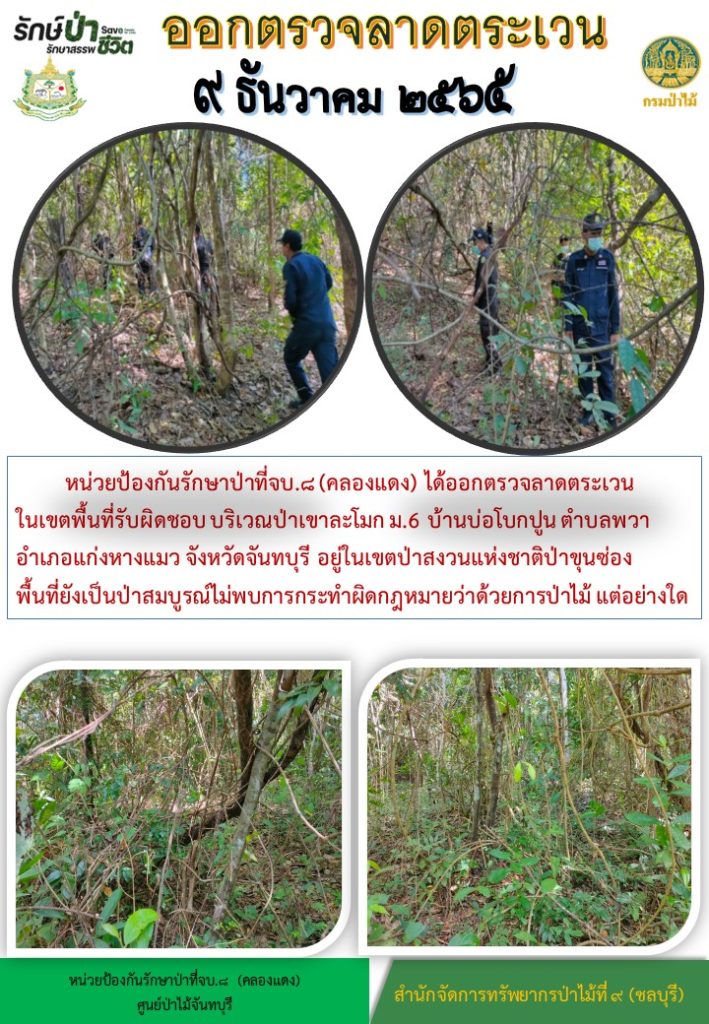 วันที่ 9 ธันวาคม 2565 หน่วยป้องกันรักษาป่าที่ จบ.8 (คลองแดง) ได้ออกตรวจลาดตระเวนในเขตพื้นที่รับผิดชอบ บริเวณป่าเขาละโมก หมู่ที่ 6 บ้านบ่อโบกปูน ตำบลพวา อำเภอแก่งหางแมว จังหวัดจันทบุรี อยู่ในเขตป่าสงวนแห่งชาติป่าขุนซ่อง พื้นที่ยังเป็นป่าสมบูรณ์ ไม่พบการกระทำผิดกฎหมายว่าด้วยการป่าไม้แต่อย่างใด