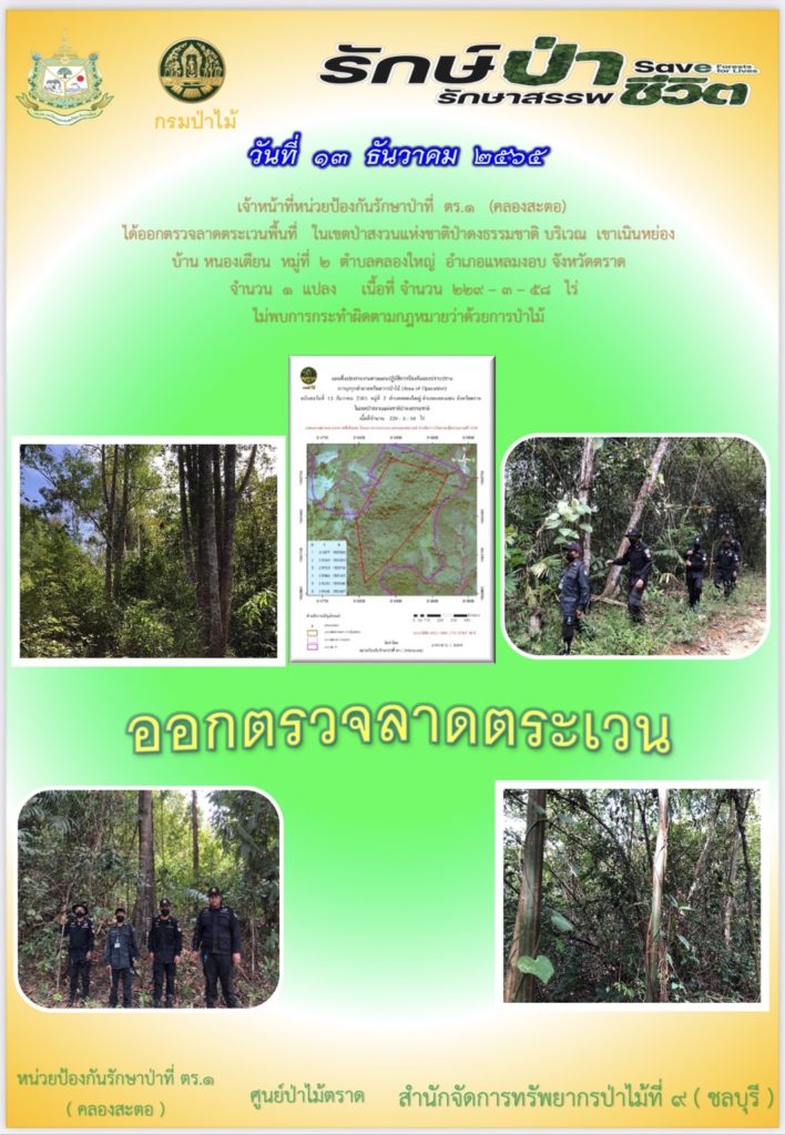 วันที่ 13 ธันวาคม 2565 เจ้าหน้าที่หน่วยป้องกันรักษาป่าที่ ตร.1 (คลองสะตอ) ได้ออกตรวจลาดตระเวนพื้นที่ ในเขตป่าสงวนแห่งชาติป่าดงธรรมชาติ บริเวณเขาเนินหย่อง บ้านหนองเตียน หมู่ที่ 2 ตำบลคลองใหญ่ อำเภอแหลมงอบ จังหวัดตราด จำนวน 1 แปลง เนื้อที่ 229-3-58 ไร่ ไม่พบการกระทำผิดกฎหมายว่าด้วยการป่าไม้