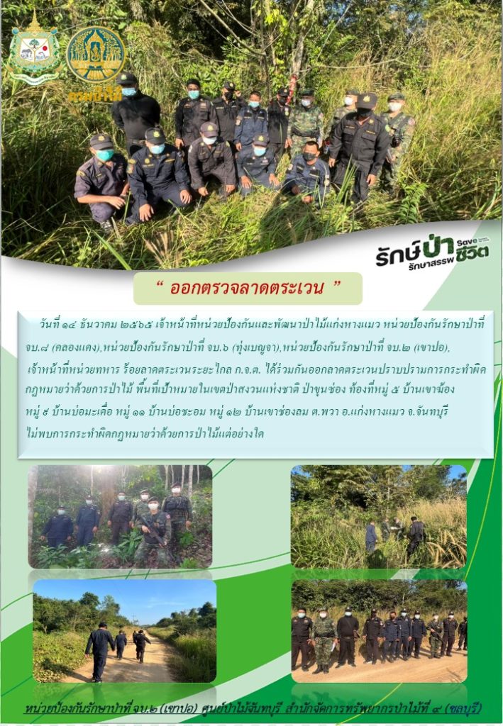 วันที่ 14 ธันวาคม 2565 เจ้าหน้าที่หน่วยป้องกันและพัฒนาป่าไม้แก่งหางแมว หน่วยป้องกันรักษาป่าที่ จบ.8 (คลองแเดง) หน่วยป้องกันรักษาป่าที่ จบ.6 (ทุ่งเบญจา) หน่วยป้องกันรักษาป่าที่ จบ.2 (เขาปอ) เจ้าหน้าที่หน่วยทหาร ร้อยลาดตระเวนระยะไกล ก.จ.ด. ได้ร่วมกันออกลาดตระเวนปราบปรามการกระทำผิดกฎหมายว่าด้วยการป่าไม้ พื้นที่เป้าหมายในเขตป่าสงวนแห่งชาติ ป่าขุนซ่อง ท้องที่หมู่ที่ 5 บ้านฆ้อง หมู่ที่ 9 บ้านบ่อมะเดื่อ หมู่ที่ 11 บ้านบ่อชะอม และหมู่ที่ 12 บ้านเขาช่องลม ตำบลพวา อำเภอแก่งหางแมว จังหวัดจันทบุรี ไม่พบการกระทำผิดกฎหมายว่าด้วยการป่าไม้แต่อย่างใด