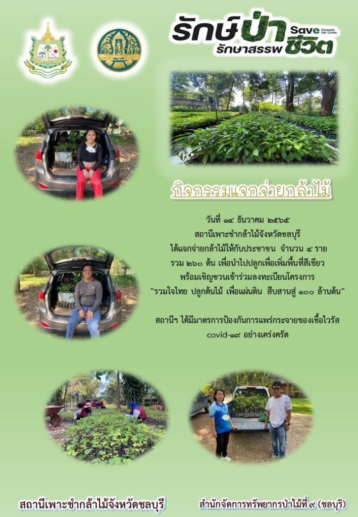 วันที่ 14 ธันวาคม 2565 สถานีเพาะชำกล้าไม้จังหวัดชลบุรี ได้แจกจ่ายกล้าไม้ให้ปับประชาชน 4 ราย รวม 260 ต้น เพื่อนำไปปลูกเพิ่มพื้นที่สีเขียว พร้อมเชิญชวนเข้าร่วมลงทะเบียนโครงการ "รวมใจไทย ปลูกต้นไม้ เพื่อแผ่นดิน สืบสานสู่ 100 ล้านต้น"