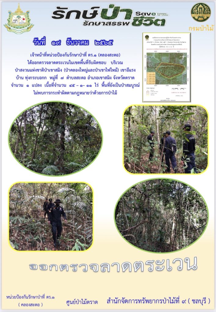 วันที่ 19 ธันวาคม 2565 เจ้าหน้าที่หน่วยป้องกันรักษาป่าที่ ตร.1 (คลองสะตอ) ได้ออกตรวจลาดตระเวนในเขตพื้นที่รับผิดชอบ บริเวณป่าสงวนแห่งชาติป่าเขาสมิง (ป่าคลองใหญ่และป่าเขาไฟไหม้) เขาอีแรง บ้านทุ่งกระบอก หมู่ที่ 7 ตำบลสะตอ อำเภอเขาสมิง จังหวัดตราด จำนวน 1 แปลง เนื้อที่ 45-1-11 ไร่ พื้นที่ยังเป็นป่าสมบูรณ์ ไม่พบการกระทำผิดกฎหมายว่าด้วยการป่าไม้