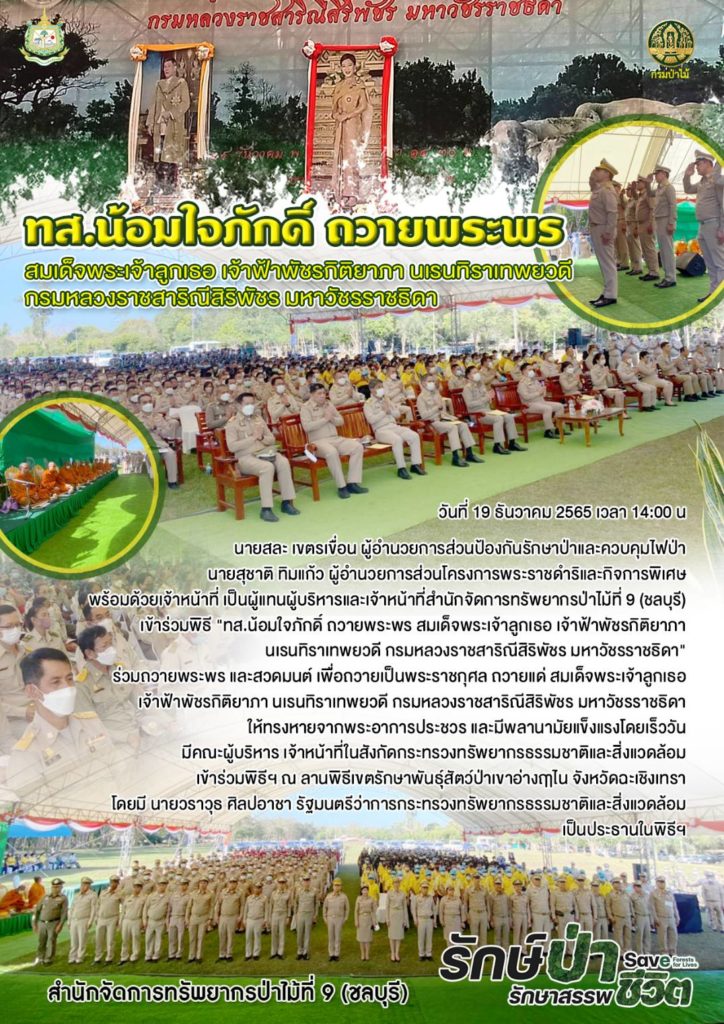 วันที่ 19 ธันวาคม 2565 เวลา 14:00 น นายสละ เขตรเขื่อน ผู้อำนวยการส่วนป้องกันรักษาป่าและควบคุมไฟป่า นายสุชาติ ทิมแก้ว ผู้อำนวยการส่วนโครงการพระราชดำริและกิจการพิเศษ พร้อมด้วยเจ้าหน้าที่ เป็นผู้แทนผู้บริหารและเจ้าหน้าที่สำนักจัดการทรัพยากรป่าไม้ที่ 9 (ชลบุรี) เข้าร่วมพิธี "ทส.น้อมใจภักดิ์ ถวายพระพร สมเด็จพระเจ้าลูกเธอ เจ้าฟ้าพัชรกิติยาภา นเรนทิราเทพยวดี กรมหลวงราชสาริณีสิริพัชร มหาวัชรราชธิดา" ร่วมถวายพระพร และสวดมนต์ เพื่อถวายเป็นพระราชกุศล ถวายแด่ สมเด็จพระเจ้าลูกเธอ เจ้าฟ้าพัชรกิติยาภา นเรนทิราเทพยวดี กรมหลวงราชสาริณีสิริพัชร มหาวัชรราชธิดา ให้ทรงหายจากพระอาการประชวร และมีพลานามัยแข็งแรงโดยเร็ววัน มีคณะผู้บริหารเจ้าหน้าที่ในสังกัดกระทรวงทรัพยากรธรรมชาติและสิ่งแวดล้อม เข้าร่วมพิธีฯ ณ ลานพิธีเขตรักษาพันธุ์สัตว์ป่าเขาอ่างฤาไน จังหวัดฉะเชิงเทรา โดยมี นายวราวุธ ศิลปอาชา รัฐมนตรีว่าการกระทรวงทรัพยากรธรรมชาติและสิ่งแวดล้อม เป็นประธานในพิธีฯ