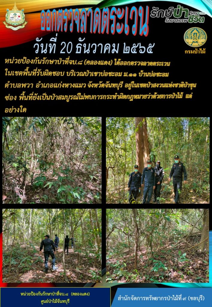 วันที่ 20 ธันวาคม 2565 หน่วยป้องกันรักษาป่าที่ จบ.8 (คลองแดง) ได้ออกตรวจลาดตระเวนในเขตพื้นที่รับผิดชอบ บริเวณป่าเขาบ่อชะอม หมู่ที่ 11 บ้านบ่ะอม ตำบลพวา อเภอแก่งหางแมว จังหวัดจันทบุรี อยู่ในเขตป่าสงวนแห่งชาติป่าขุนซ่อง พื้นที่ยังเป็นป่าสมบูรณ์ ไม่พบการกระทำผิดกฎหมายว่าด้วยการป่าไม้แต่อย่างใด