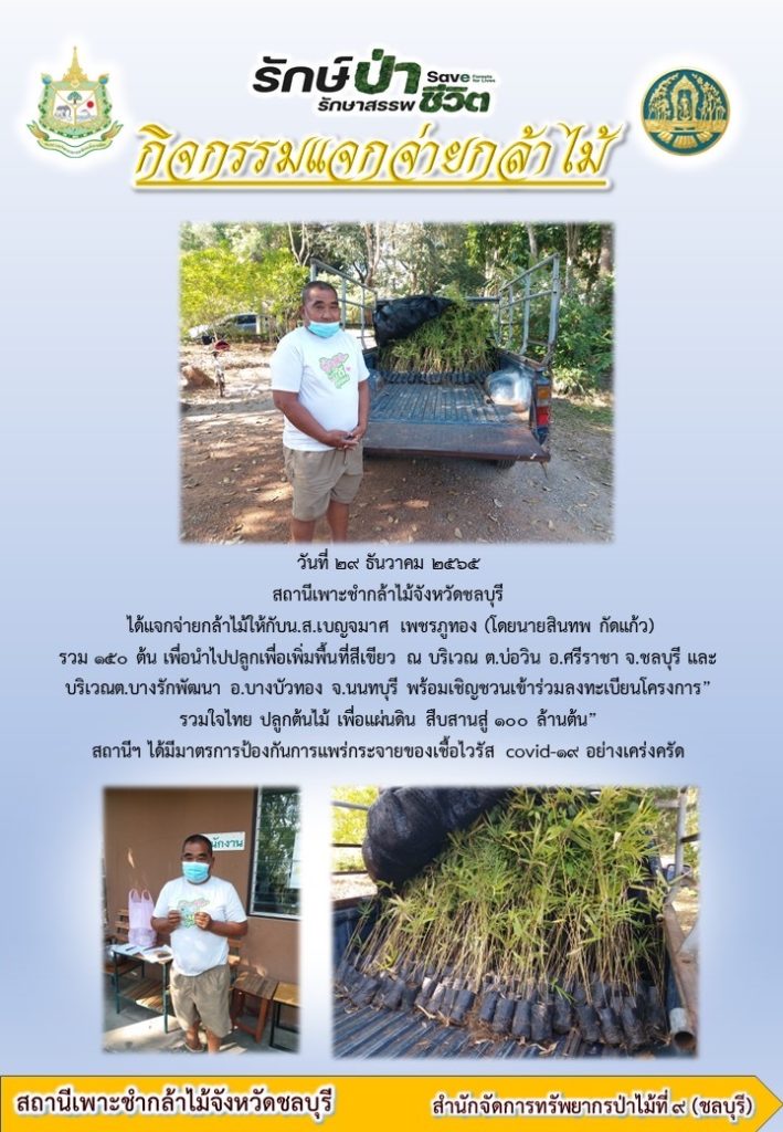 วันที่ 29 ธันวาคม 2565 สถานีเพาะชำกล้าไม้จังหวัดชลบุรี ได้แจกจ่ายกล้าไม้ให้กับประชาชน จำนวน 150 ต้น เพื่อนำไปปลูกเพื่อเพิ่มพื้นที่สีเขียว ณ บริเวณ ตำบลบ่อวิน อำเภอศรีราชา จังหวัดชลบุรี และบริเวณตำบลบางรักพัฒนา อำเภอบางบัวทอง จังหวัดนนทบุรี พร้อมเชิญชวนเข้าร่วมลงทะเบียนโครงการ "รวมใจไทย ปลูกต้นไม้ เพื่อแผ่นดิน สืบสานสู่ 100 ล้านต้น"