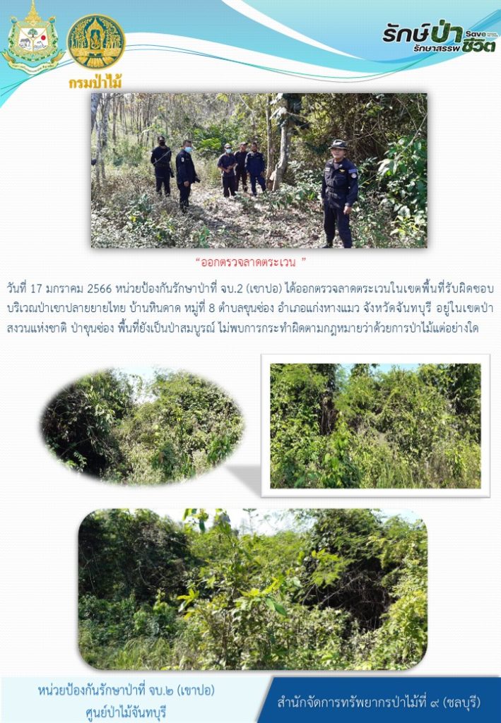 วันที่ 17 มกราคม 2566 หน่วยป้องกันรักษาป่าที่ จบ.2 (เขาปอ) ได้ออกตรวจลาดตระเวนในเขตพื้นที่รับผิดชอบบิรเวณป่าเขาปลายยายสไทย บ้านหินดาด หมู่ที่ 8 ตำบลขุนซ่อง อำเภอแก่งหางแมว จังหวัดจันทบุรี อยู่ในเขตป่าสงวนแห่งชาติป่าขุนซ่อง พื้นที่ยังเป็นป่าสมบูรณ์ ไม่พบการกระทำผิดตามกฎหมายว่าด้วยการป่าไม้แต่อย่างใด