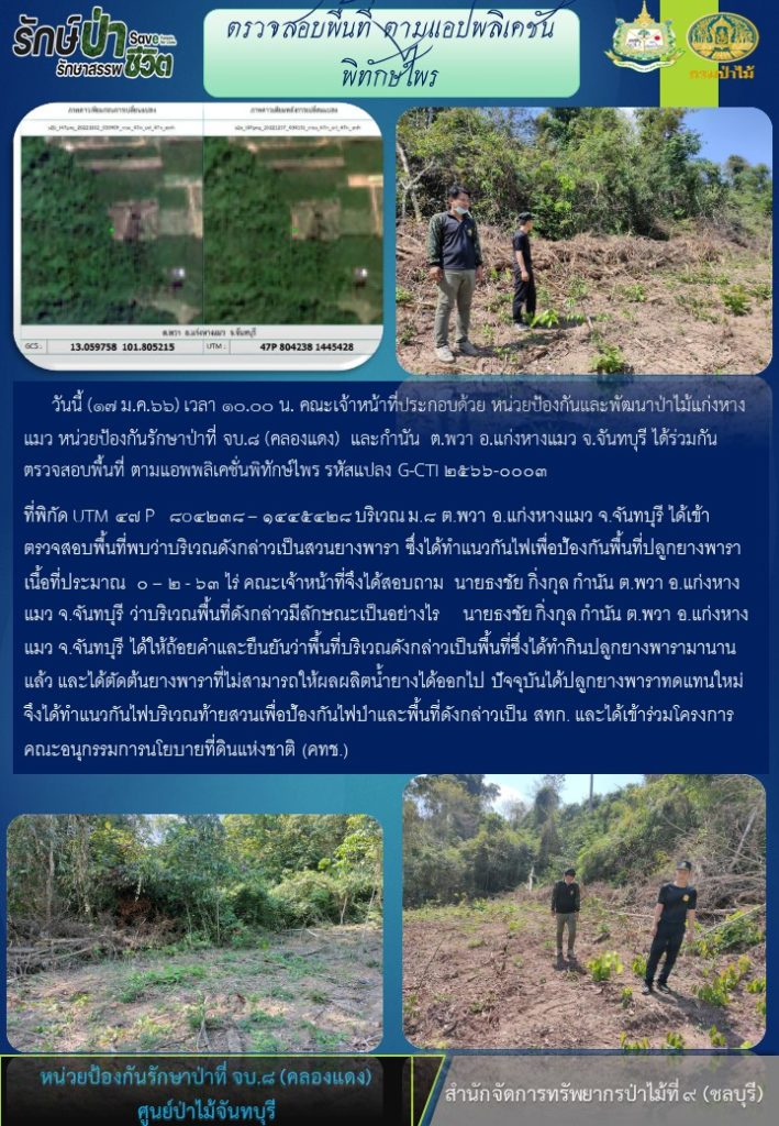 วันที่ 17 มกราคม 2566 เวลา 10.00 น. คณะเจ้าหน้าที่ประกอบด้วยหน่วยป้องกันและพัฒนาป่าไม้แก่งหางแมว หน่วยป้องกันรักษาป่าที่ จบ.8 (คลองแดง) และกำนันตำบลพวา อำเภอแก่งหางแมว จังหวัดจันทบุรี ได้ร่วมกันตรวจสอบพื้นที่ ตามแอพพลิเคชั่นพิทักษ์ไพร รหัสแปลง G-CTI 2566-0003 พิกัด UTM 47 P 804238-1445428 บริเวณหมู่ที่ 8 ตำบลพวา อำเภอแก่งหางแมว จังหวัดจันทุบรี การตรวจสอบพื้นที่พบว่าบริเวณดังกล่าวเป็นสวนยาพารา ซึ่งได้ทำแนวกันไฟเพื่อป้องกันพื้นที่ปลูกยางพารา เนื้อที่ประมาณ 0-2-63 ไร่ คณะเจ้าหน้าที่จึงได้สอบถามนายธงชัย กิ่งกุล กำนันตำบลพวา ว่าบริเวณพื้นที่ดังกล่างเป็นอย่างไร นายธงชัย กิ่งกุล กำนันตำบลพวา ได้ให้ถ้อยคำและยืนยันว่าพื้นที่บริเวณดังกล่าวเป็นพื้นที่ปลูกยางพารามานานแล้ว และได้ตัดต้นยางพาราที่ไม่สามารถให้ผลผลิตน้ำยางได้ออกไป ปัจจุบันได้ปลูกยางพาราทดแทนใหม่จึงได้ทำแนวกันไฟบริเวณท้ายสวนเพื่อป้องกันไฟป่าและพื้นที่ดังกล่าวเป็น สทก. และได้เข้าร่วมโครงการคณะอนุกรรมการนโยบายที่ดินแห่งชาติ (คทช.)