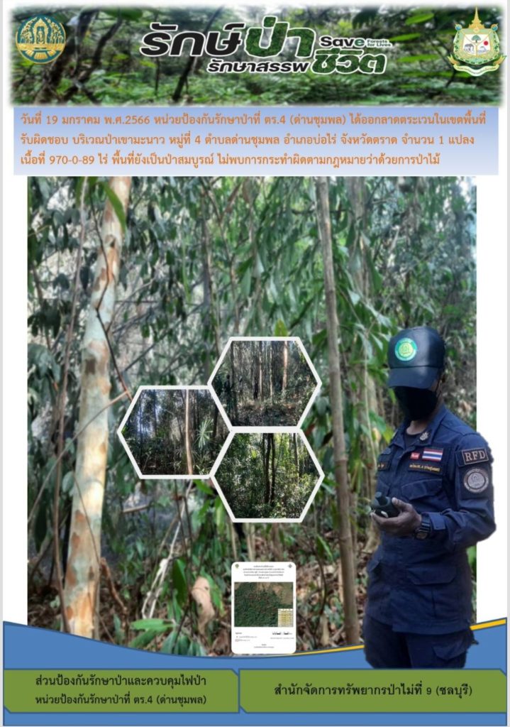 วันที่ 19 มกราคม 2566 หน่วยป้องกันรักษาป่าที่ ตร.4 (ด่านชุมพล) ได้ออกลาดตระเวนในเขตพื้นที่รับผิดชอบ บริวณป่าเขามะนาว หมู่ที่ 4 ตำบลด่านชุมพล อำเภอบ่อไร่ จังหวัดตราด จำนวน 1 แปลง เนื้อที่ 970-0-89 ไร่ พื้นที่ยังเป็นป่าสมบูรณ์ ไม่พบการกระทำผิดตามกฎหมายว่าด้วยการป่าไม้