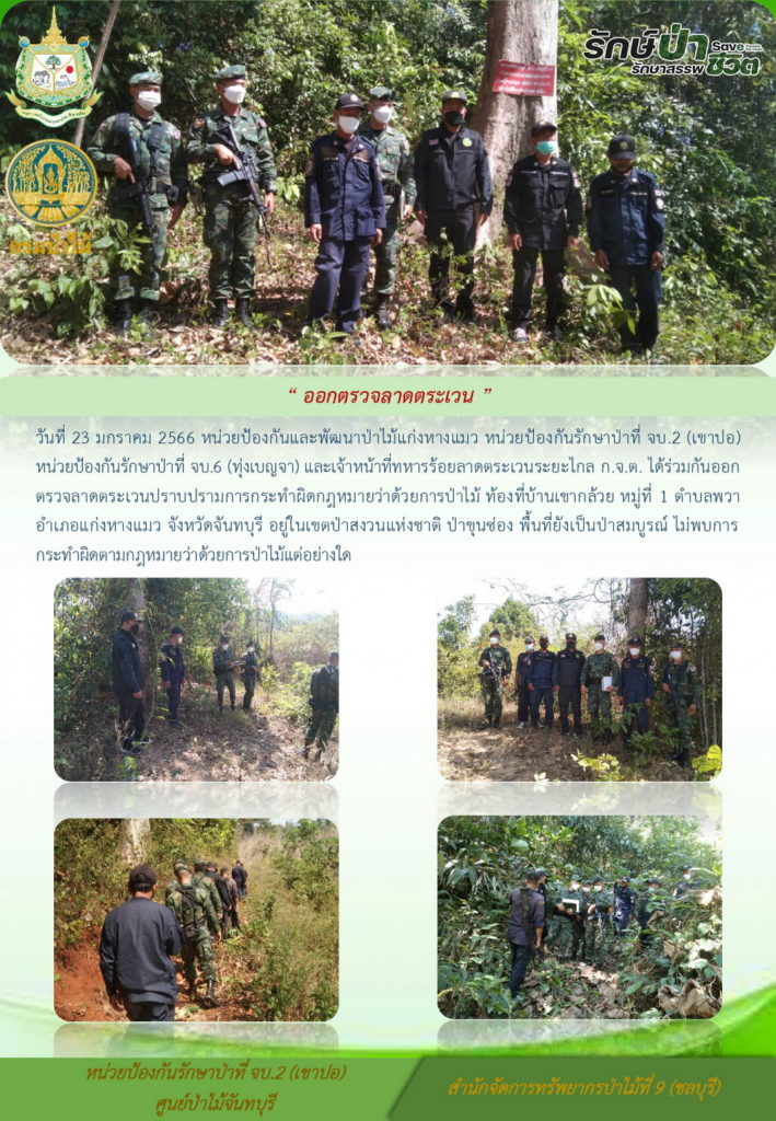 วันที่ 23 มกราคม 2566 หน่วยป้องกันและพัฒนาป่าไม้แก่งหางแมว หน่วยป้องกันรักษาป่าที่ จบ.2 (เขาปอ) หน่วยป้องกันรักษาป่าที่ จบ.6 (ทุ่งเบญจา) และเจ้าหน้าที่ทหารร้อยลาดตระเวนระยไกล ก.จ.ต. ได้ร่วมกันออกตรวตลาดตระเวนปราบปรามการกระทำผิดกฎหมายว่าด้วยการป่าไม้ ท้องที่บ้านเขากล้วย หมู่ที่ 1 ตำบลพวา อำเภอแก่งหางแมว จังหวัดจันทบุรี อยู่ในเขตป่าสงวนแห่งชาติป่าขุนซ่อง พื้นที่ยังเป็นป่าสมบูรณ์ ไม่พบการกระทำผิดตามกฎหมายว่าด้วยการป่าไม้แต่อย่างใด