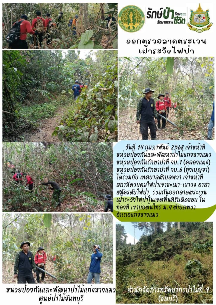 วันที่ 14 กุมภาพันธ์ 2568 เจ้าหน้าที่หน่วยปองกันและพัฒนาป่าไม้แก่งหางแมว หน่วยป้องกันรักษาป่าที่ จบ.1 (คลองแดง) หน่วยป้องกันรักษาป่าที่ จบ.6 (ทุ่งเบญจา) ได้ร่วมกับเทศบาลตำบลพวา เจ้าหน้าที่สถานีควบคุมไฟป่าเขาชะเมา-เขาวง อาสาสมุครดับไฟป่า ร่วมกันออกลาดตระเวนเฝ้าระวังไฟป่าในเขตพื้นที่รับผิดชอบ ท้องที่เขาบ่อต้นไทร หมู่ที่ 4 ตำบลพวา อำเภอแก่งแมว