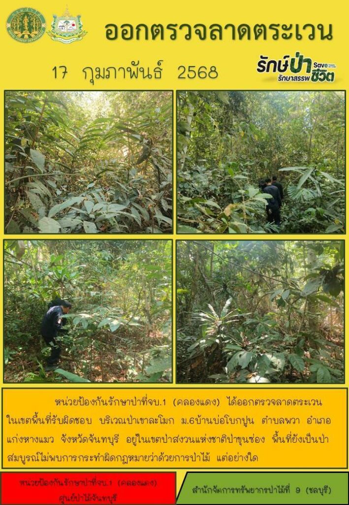 วันที่ 17 กุมภาพันธ์ 2568 หน่วยป้องกันรักษาป่าที่ จบ.1 (คลองแดง) ได้ออกตรวจลาดตระเวนในเขตพื้นที่รับผิดชอบ บริเวณป่าเขาละโมก หมู่ที่ 6 บ้านบ่อโบกปูน ตำบลพวา อำเภอแก่งหางแมว จังหวัดจันทบุรี อยู่ในเขตป่าสงวนแห่งชาติป่าขุนซ่อง พื้นที่ยังเป็นป่าสมบูรณ์ ไม่พบการกระทำผิดกฎหมายว่าด้วยการป่าไม้แต่อย่างใด