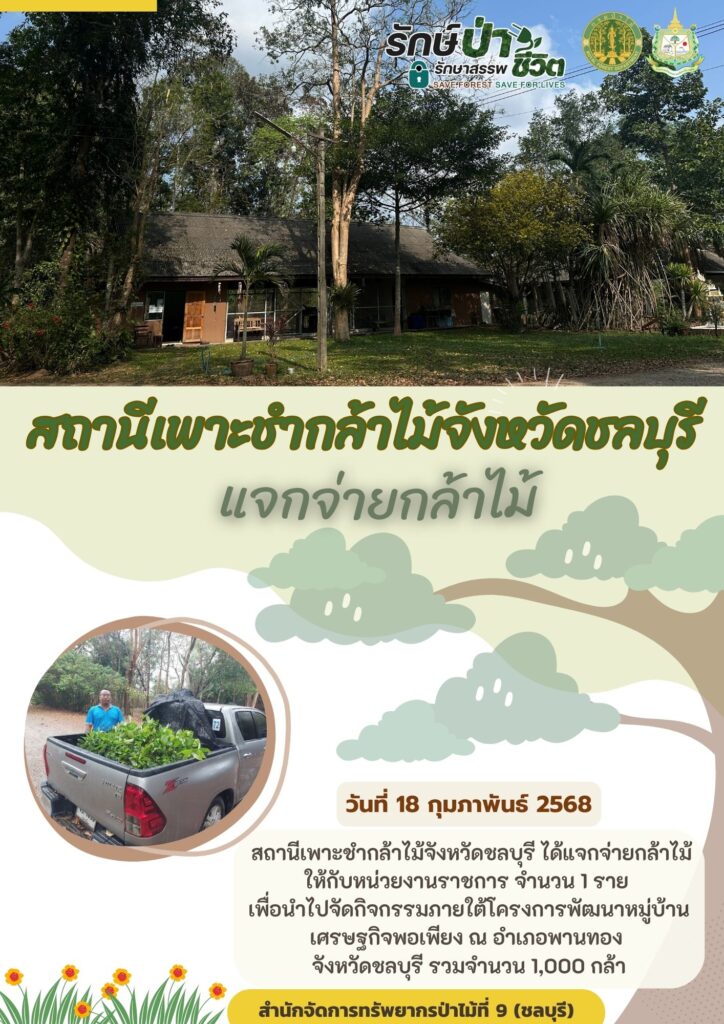 วันที่ 18 กุมภาพันธ์ 2568 สถานีเพาะชำกล้าไม้จังหวัดชลบุรี ได้แจกจ่ายกล้าไม้ให้กับหน่วยงานราชการ 1 ราย เพื่อนำไปจัดกิจกรรมภายใต้โครงการพัฒนาหมู่บ้านเศรษฐกิจพอเพียง ณ อำเภอพานทอง จังหวัดชลบุรี รวมจำนวน 1,000 กล้า