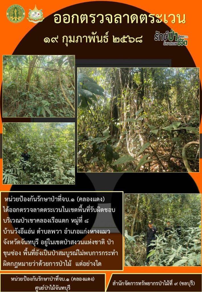 วันที่ 19 กุมภาพันธ์ 2568 หน่วยป้องกันรักษาป่าที่ จบ.1 (คลองแดง) ได้ออกตรวจลาดตะเวนในเขตพื้นที่รับผิดชอบ บริเวณป่าเขาคลองเรือแตก หมู่ที่ 8 บ้านวังอีแอ่น ตำบลพวา อำเภอแก่งหางแมว จังหวัดจันทบุรี อยู่ในเขตป่าสงวนแห่งชาติป่าขุนซ่อง พื้นที่ยังเป็นป่าสมบูรณ์ ไม่พบการกระทำผิดกฎหมายว่าด้วยการป่าไม้แต่อย่างใด