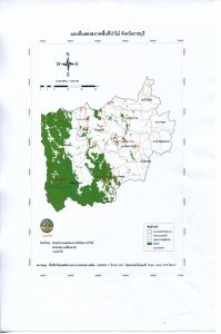 พื้นที่ป่าไม้ จังหวัดราชบุรี