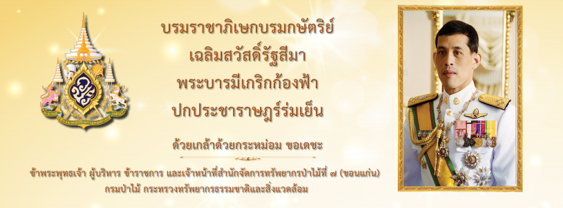 (2)-frm7-web-3