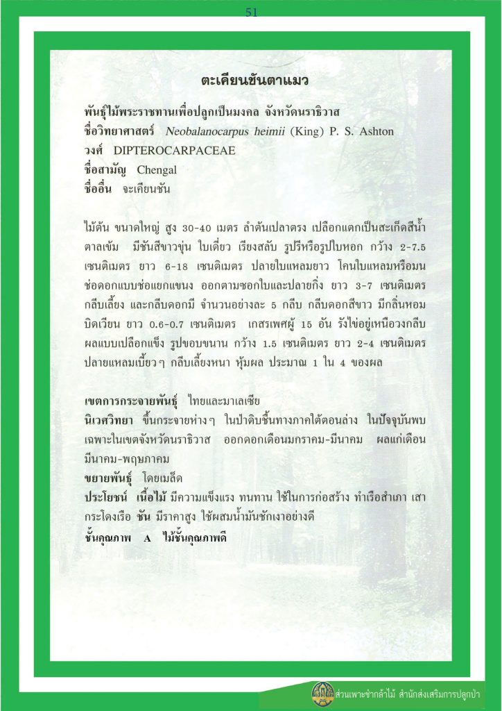 PT_Takienchantamaew2