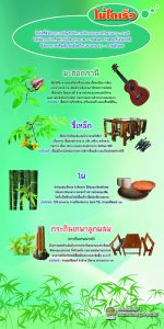 ไม้โตเร็ว