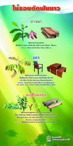 ไม้รอบตัดฟันยาว