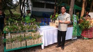 แจกกล้าไม้อุดร1