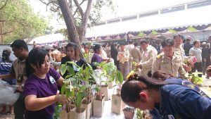 แจกกล้าไม้อุดร10