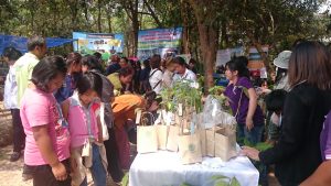 แจกกล้าไม้อุดร11