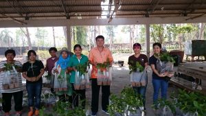 แจกกล้าไม้อุดร12