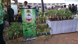 แจกกล้าไม้อุดร4