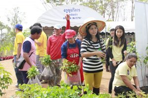 12วันต้นไม้ประจำปีของชาติ59_resize