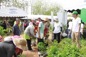 13วันต้นไม้ประจำปีของชาติ59_resize