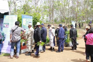 14วันต้นไม้ประจำปีของชาติ59_resize