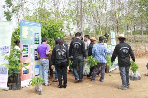 15วันต้นไม้ประจำปีของชาติ59_resize