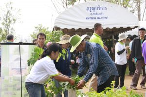 6วันต้นไม้ประจำปีของชาติ59_resize