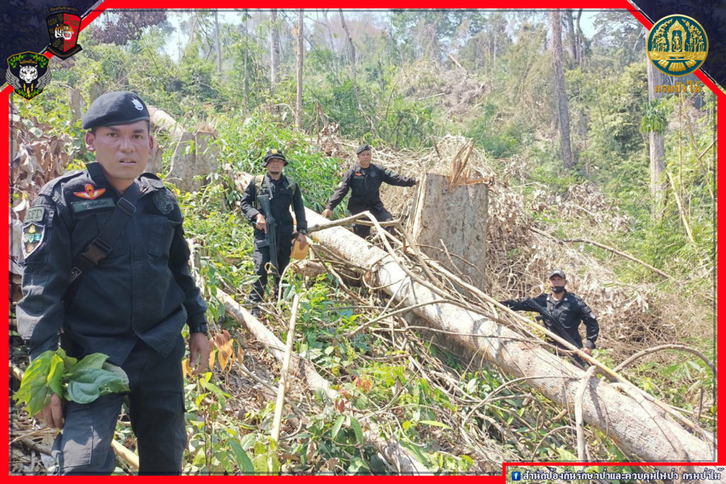พลเมืองดีร้องเรียนพบผู้มีอิทธิพลบุกรุกป่า