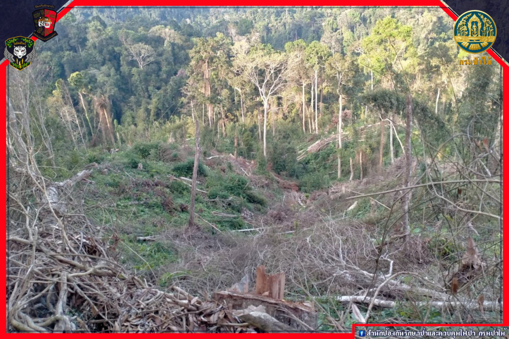 พลเมืองดีร้องเรียนพบผู้มีอิทธิพลบุกรุกป่า