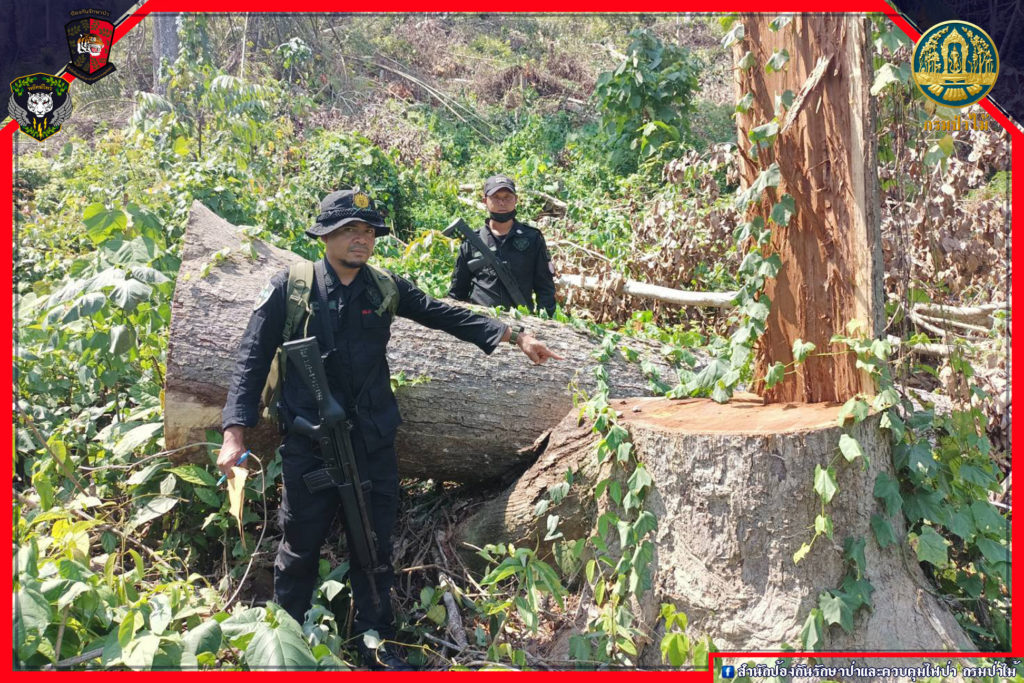 พลเมืองดีร้องเรียนพบผู้มีอิทธิพลบุกรุกป่า