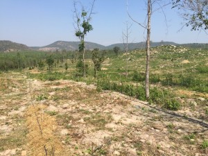 เขาพระยาเดินธง_7579