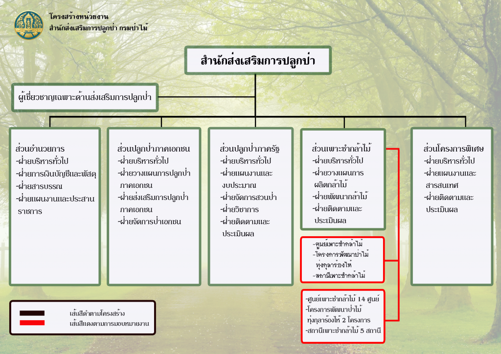 โครงสร้าง33