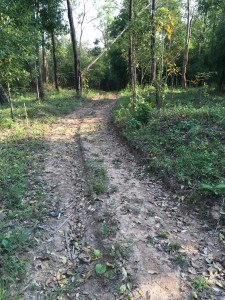 น้ำหนาว เพชรบูรณ์_1187