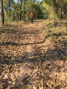 น้ำหนาว เพชรบูรณ์_1220