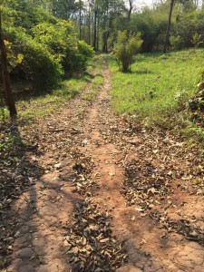 น้ำหนาว เพชรบูรณ์_2645_0