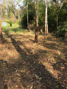 น้ำหนาว เพชรบูรณ์_3964