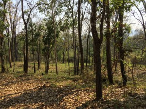 น้ำหนาว เพชรบูรณ์_3121