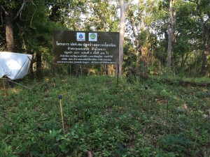 น้ำหนาว เพชรบูรณ์_3358_0