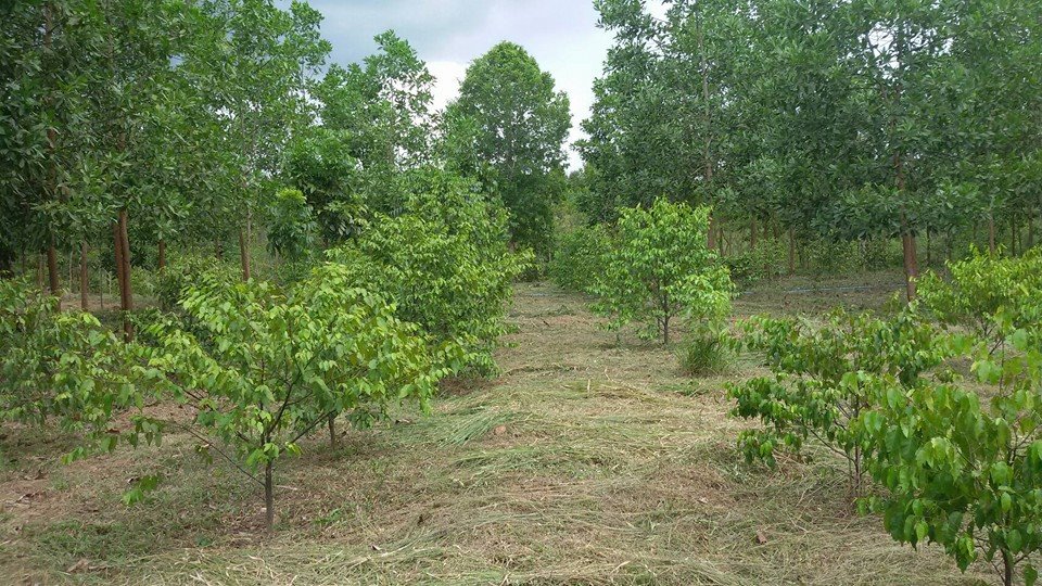 13226703_1720711801532720_1801358511790575629_n