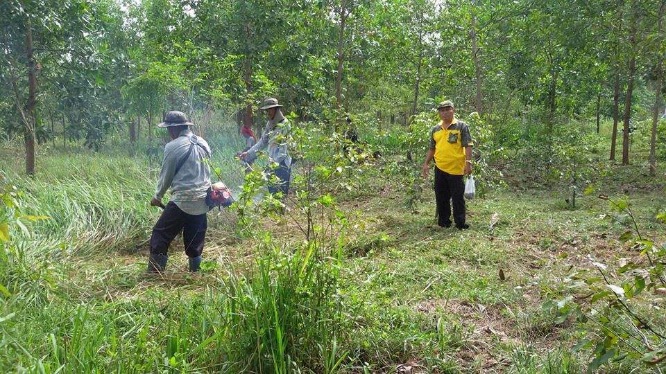 13226992_1720711788199388_335139138296833476_n